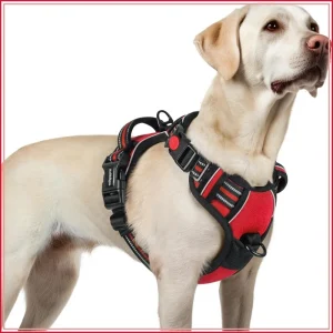 No Pull Dog Harness Easy On Off , Adjustable Soft Vest, 2 Clips, Handle, Reflective,